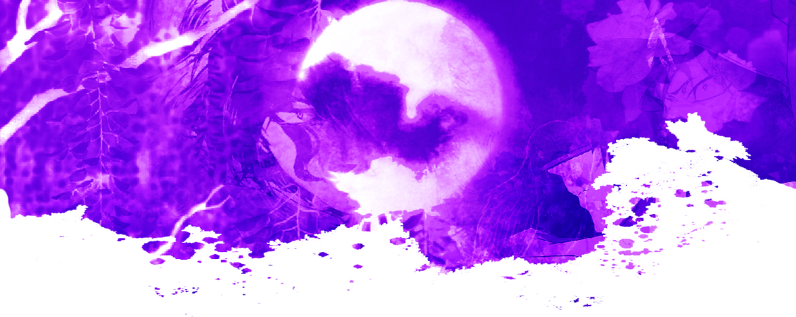 Chinmoku&#39;s Aesthetic (Int. Sol Carmesim)